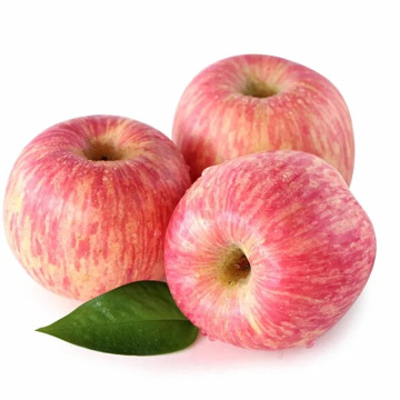 Prix ​​en gros doux rouge de fuji de pomme fraîche de Chine